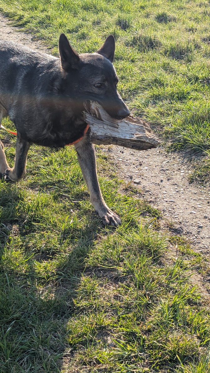 Mr. Karim tweet media