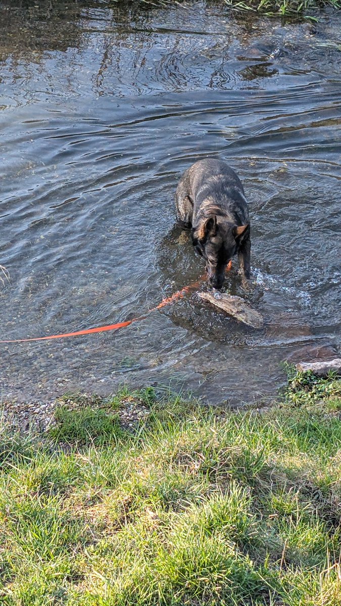 Mr. Karim tweet media