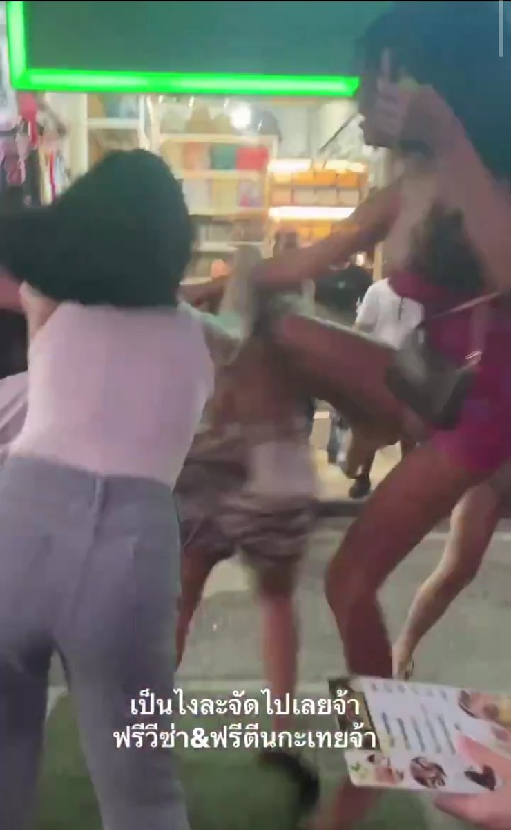 draco veritatis tweet media