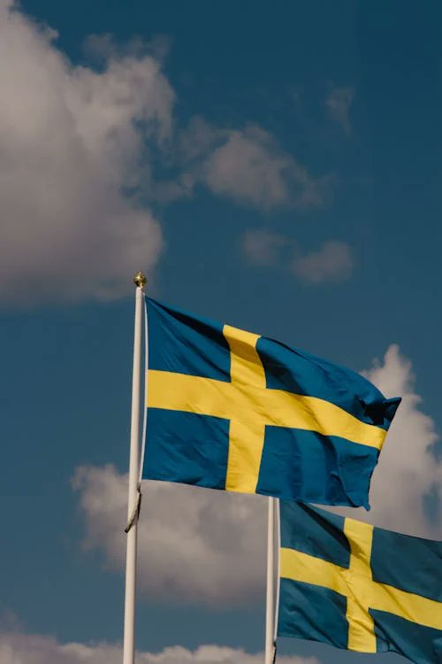 PoliticsVideoChannel tweet media