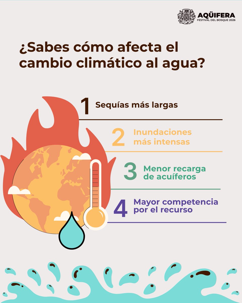 Aqüifera: Festival del Bosque tweet media