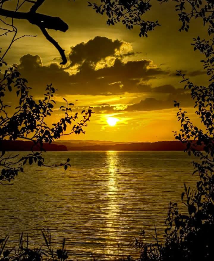 THE MAN WHO DARES tweet media