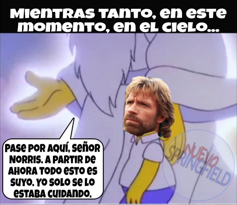 Chuck Norris Dice tweet media