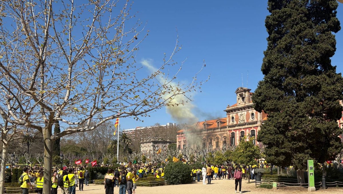 Anna Erra i Solà🎗 tweet media