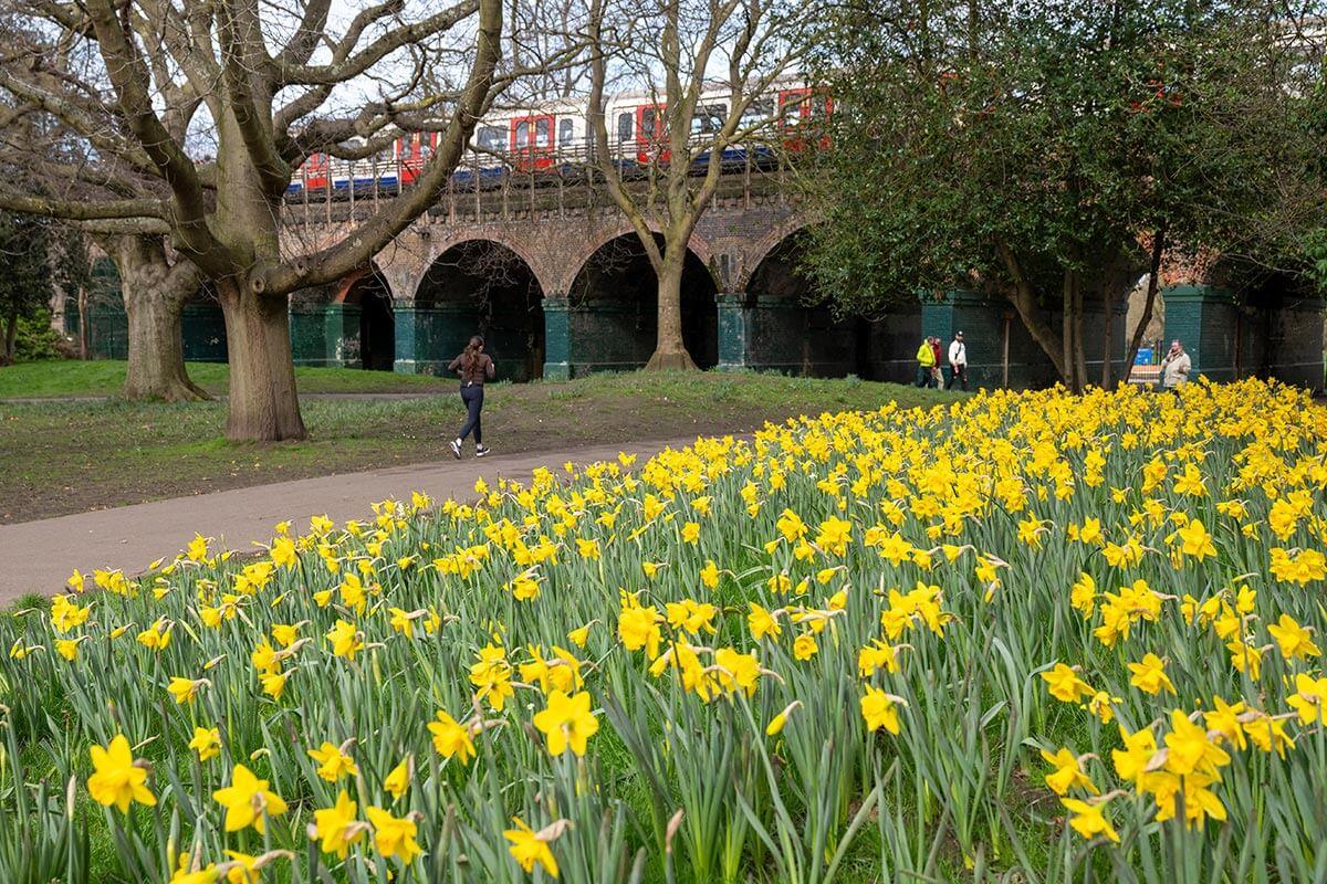 H&F Council tweet media