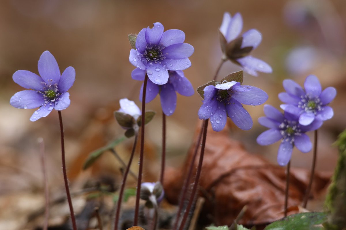 Magda Grzybiara tweet media