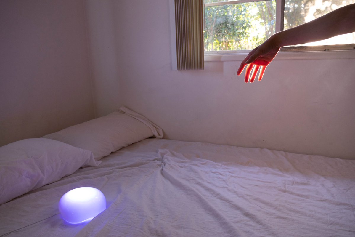 simp 4 satoshi tweet media