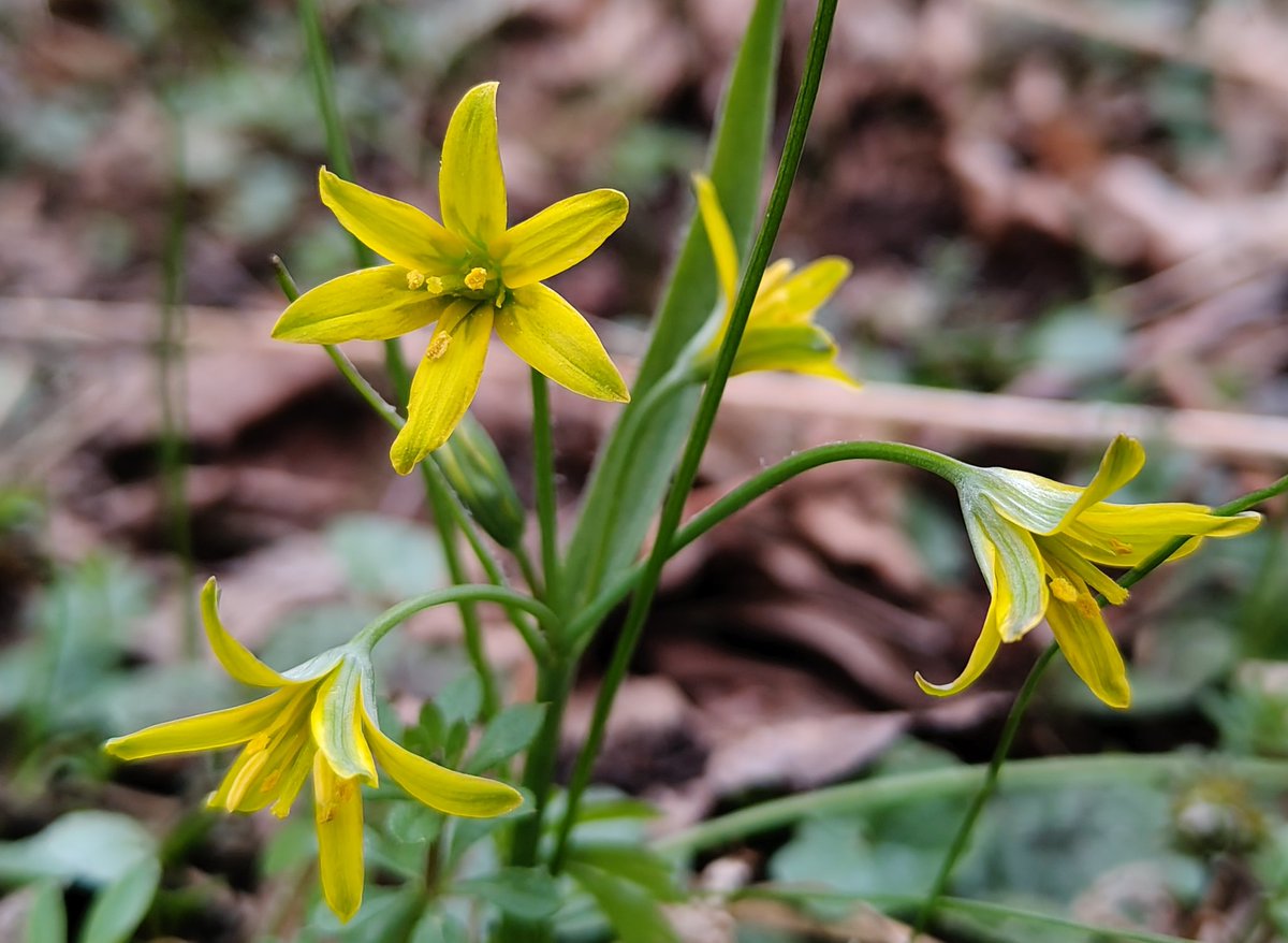 Magda Grzybiara tweet media