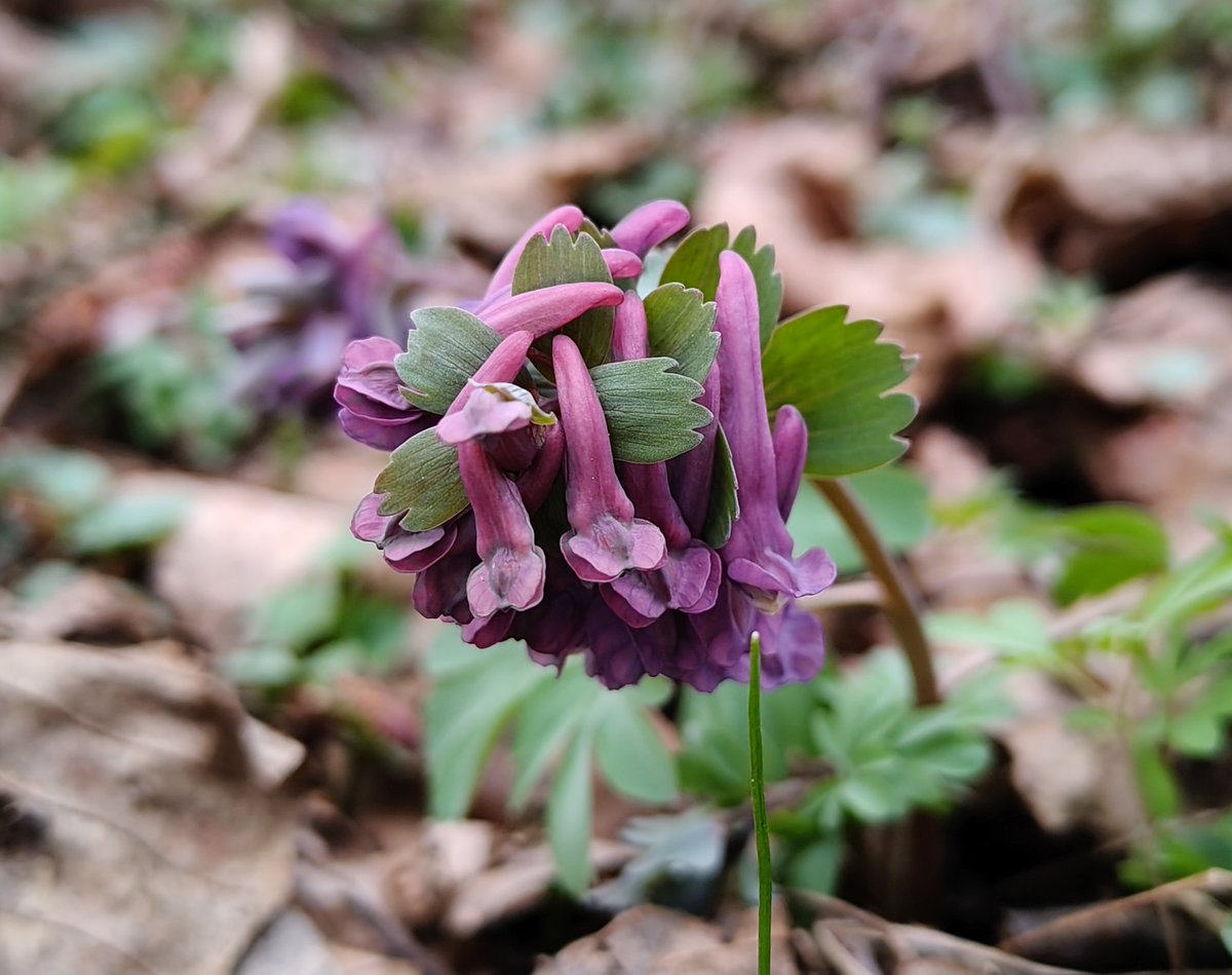 Magda Grzybiara tweet media