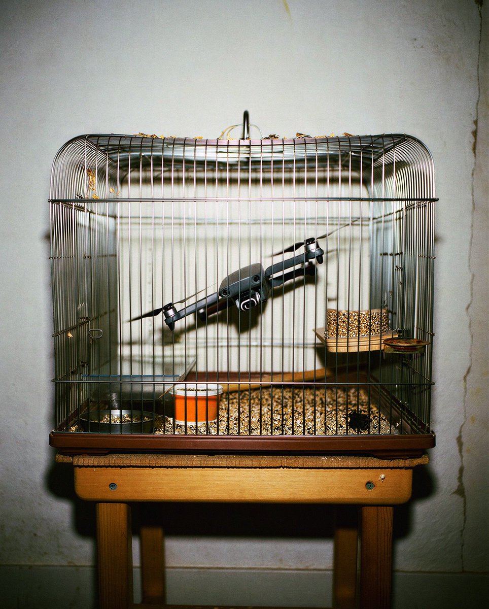 Ramin Nasibov tweet media