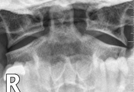 Radiology Masterclass tweet media