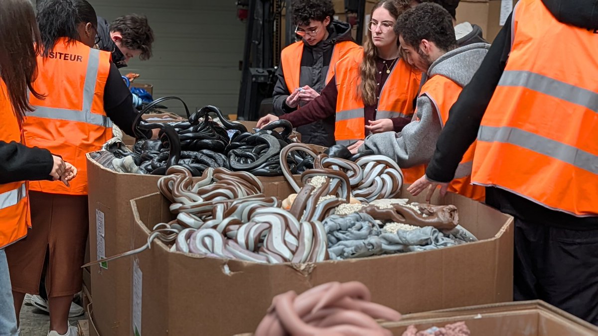 Préfète de la Loire tweet media