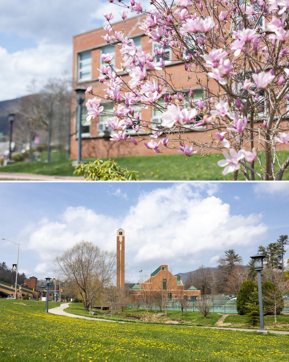 Appalachian Alumni tweet media