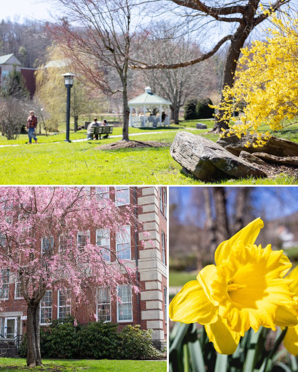 Appalachian Alumni tweet media