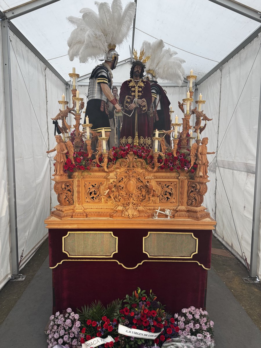 𝗔𝗯𝗻𝗲𝗴𝗮𝗰𝗶𝗼́𝗻 𝗱𝗲 𝗦𝗮𝗻 𝗕𝗲𝗿𝗻𝗮𝗿𝗱𝗼 tweet media