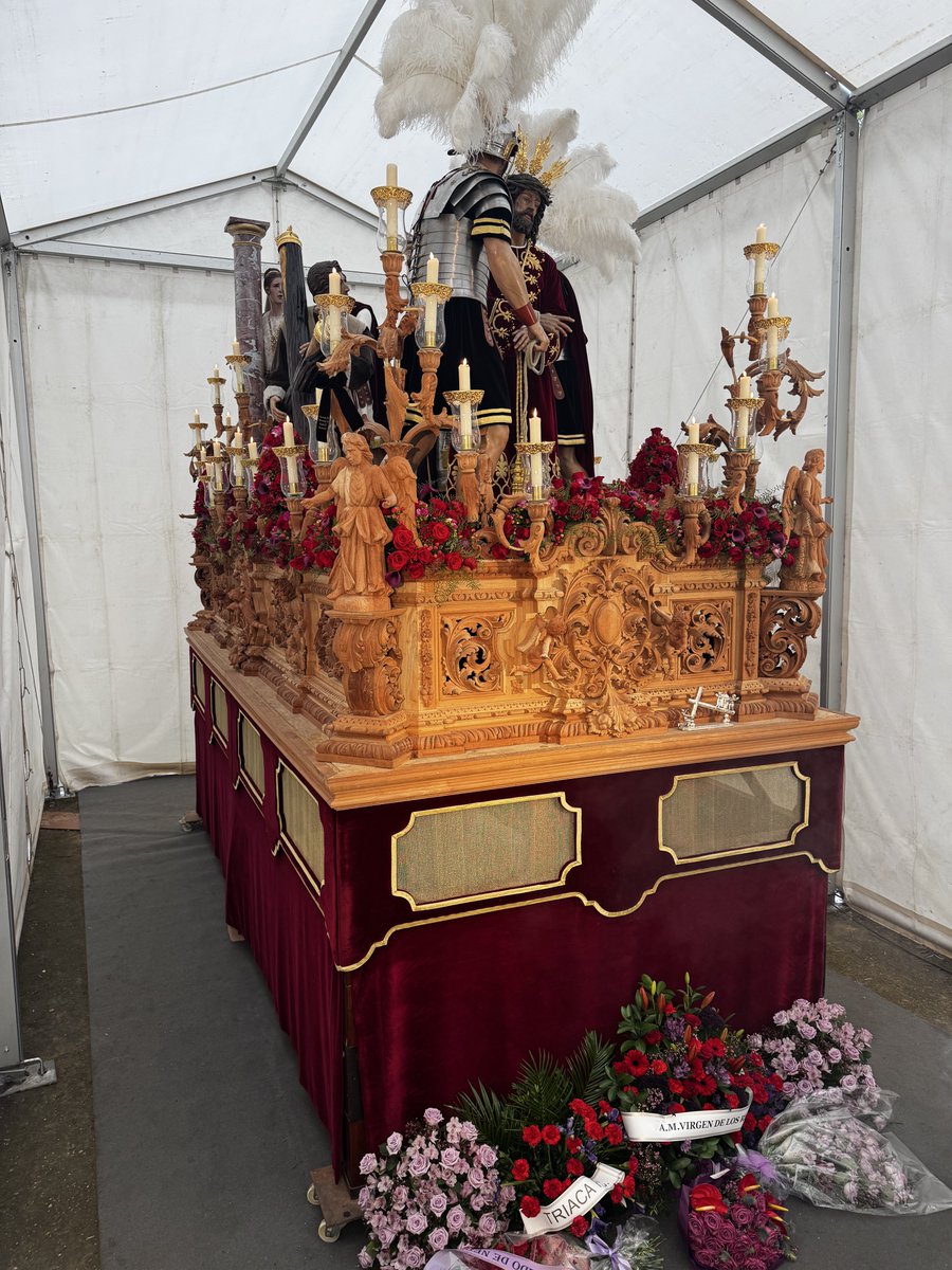 𝗔𝗯𝗻𝗲𝗴𝗮𝗰𝗶𝗼́𝗻 𝗱𝗲 𝗦𝗮𝗻 𝗕𝗲𝗿𝗻𝗮𝗿𝗱𝗼 tweet media