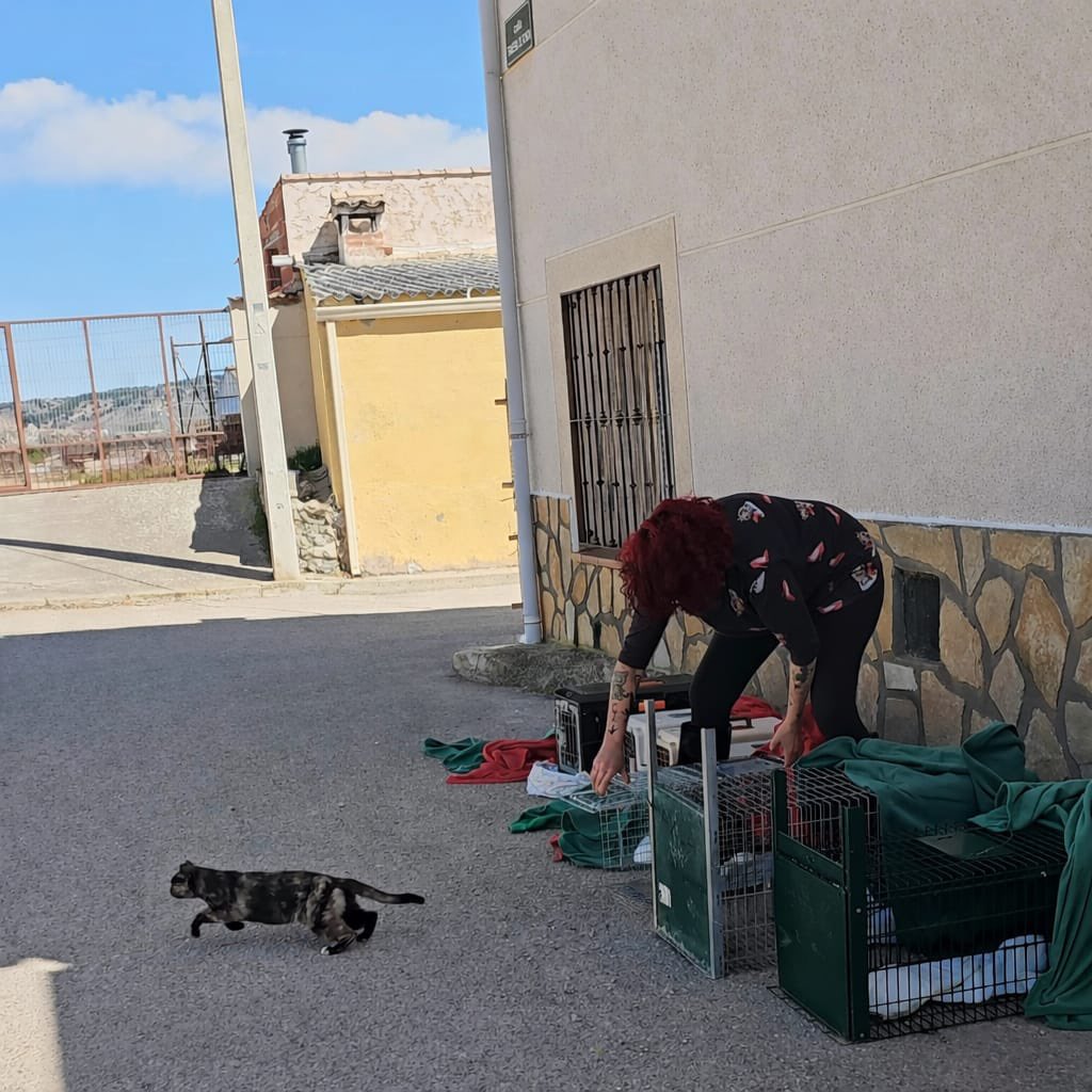 axlamadrid.org tweet media