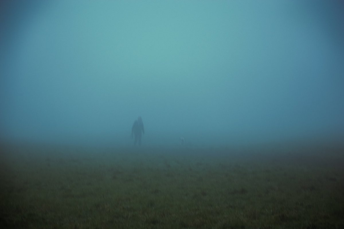 emilybakerphoto.eth tweet media