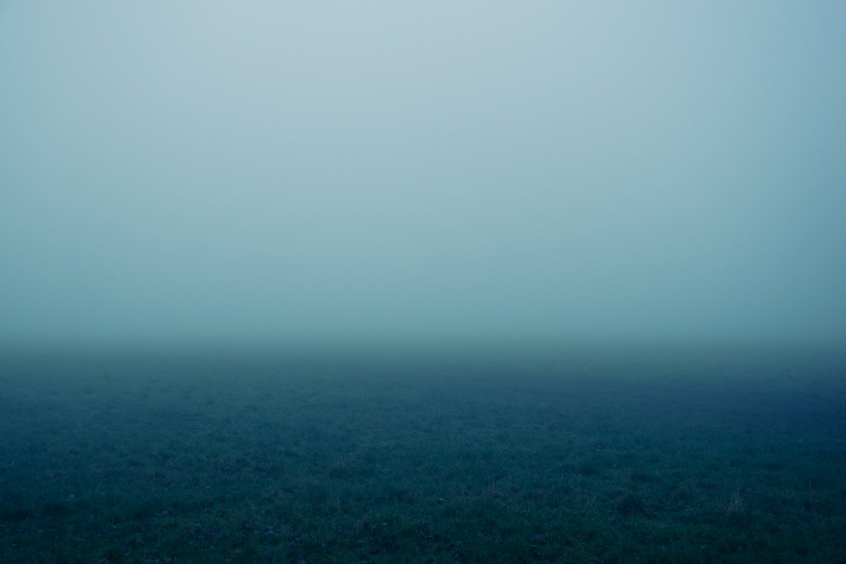 emilybakerphoto.eth tweet media