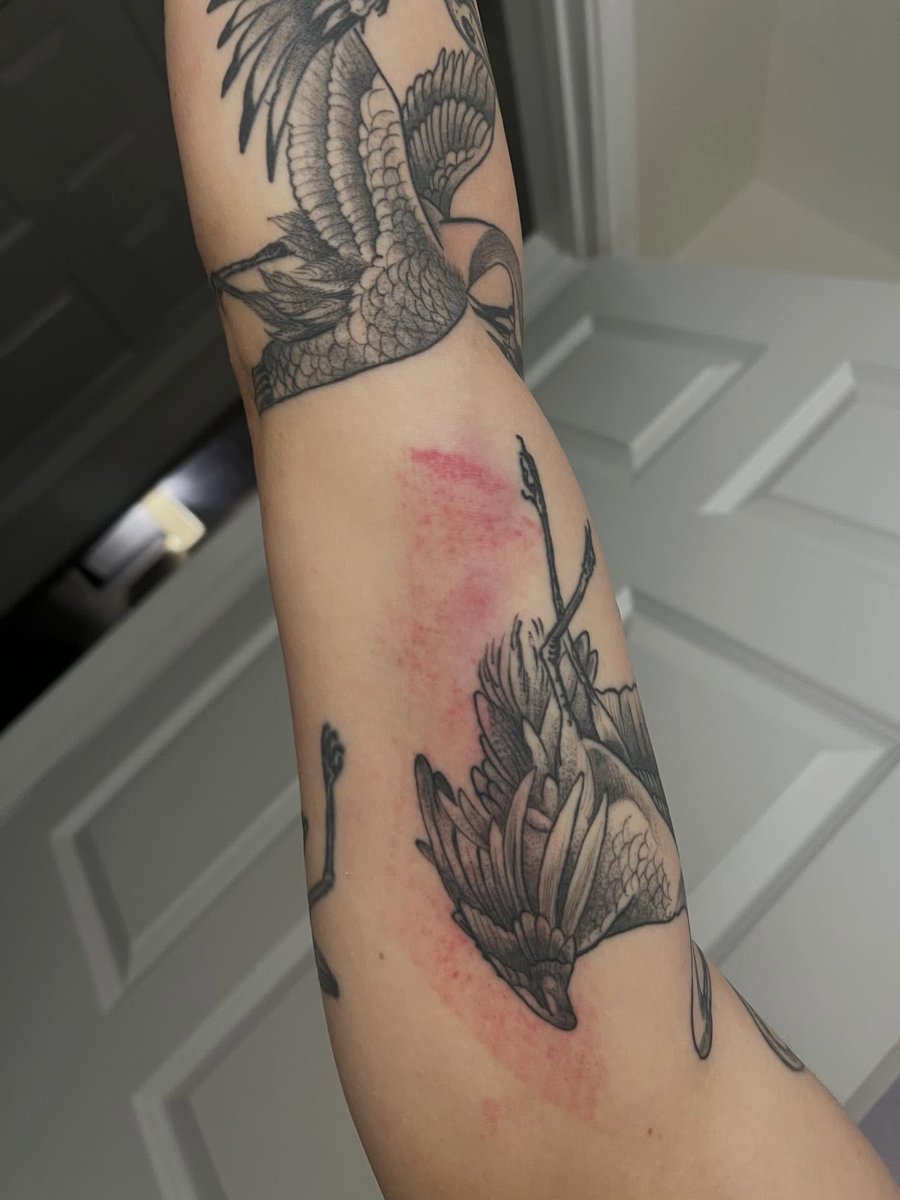 𝗪𝗔𝗦𝗜𝗙 tweet media