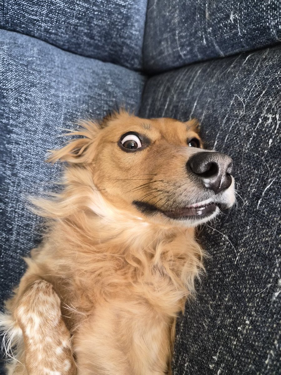 two thousand & twenty flicks tweet media