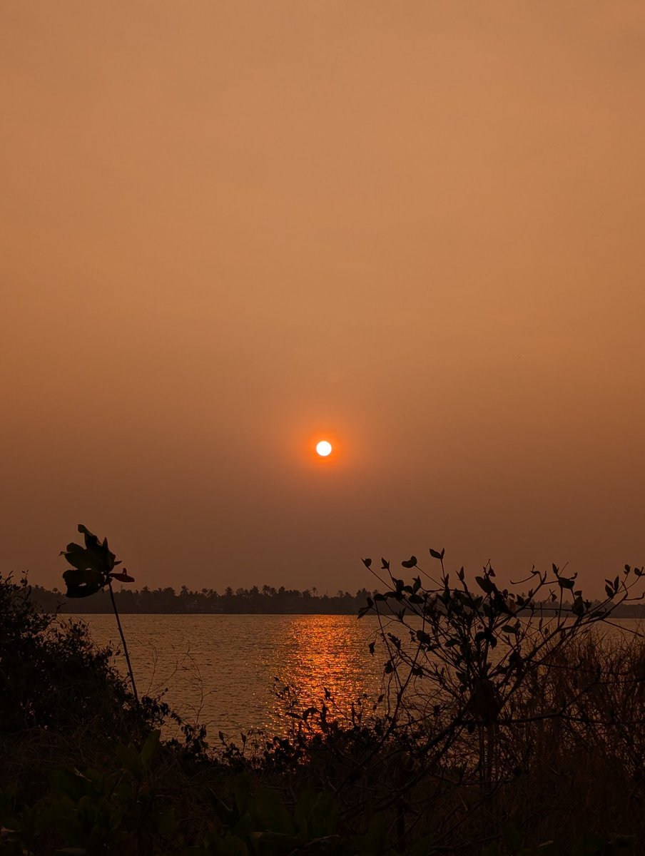 abveekshith's tweet photo. Photographs on film https://t.co/rHvTYaSRAc