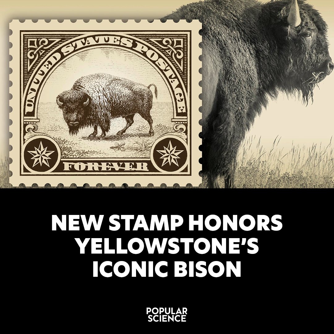 Popular Science tweet media