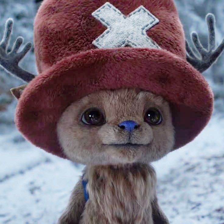 Louuu 🌙 tweet media