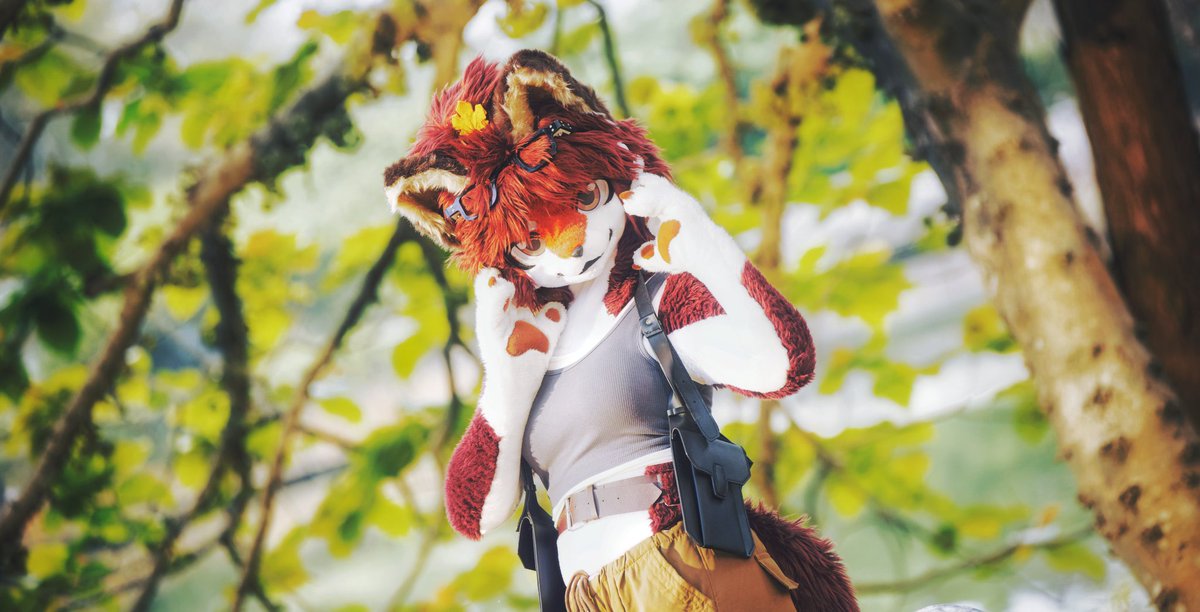 祈橘 ききつ🍁🦊➡️JMOF2026 tweet media