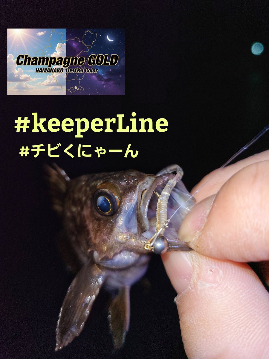 1091kI's tweet photo. 極豆アジヒットするものの3cmなので風で飛んでってしまう🤣オリカラで久しぶりのメバルは嬉しい結果に‼️ #浜名湖アジング #keeperline #チビくにゃーん #シャンパンゴールド https://t.co/tTsh6SB0jU