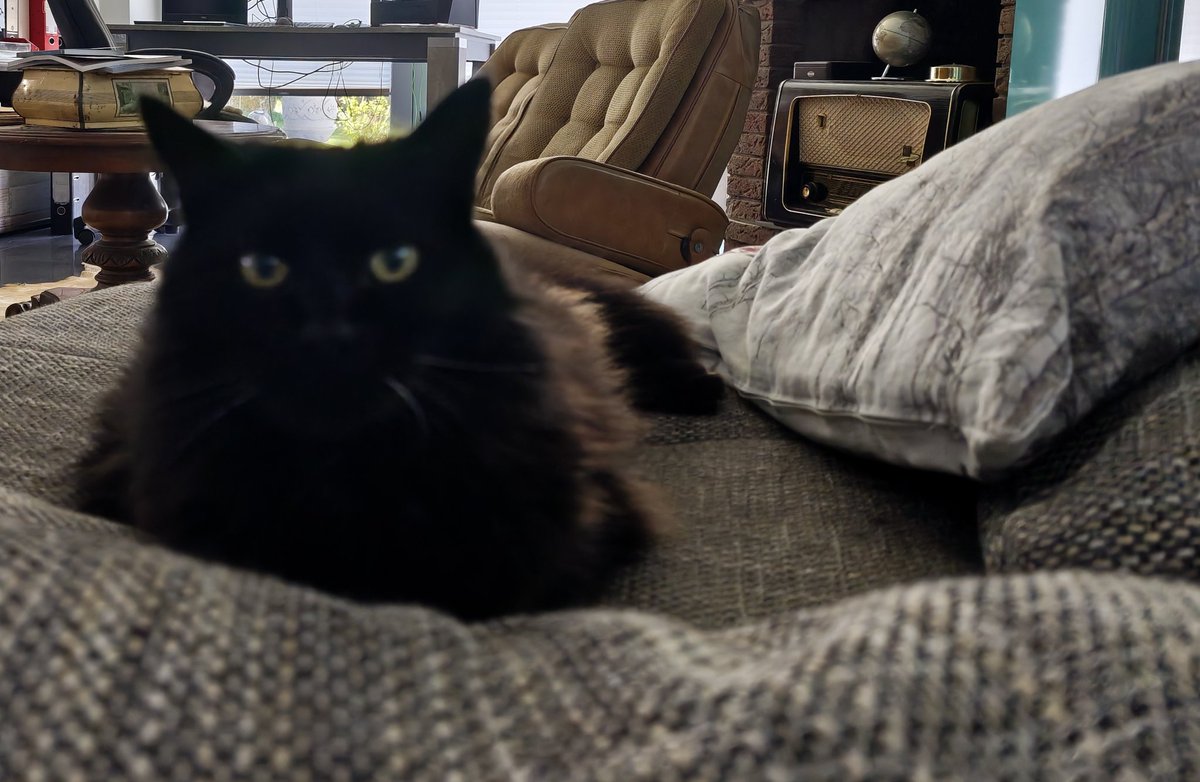 Neo - Flynn tweet media