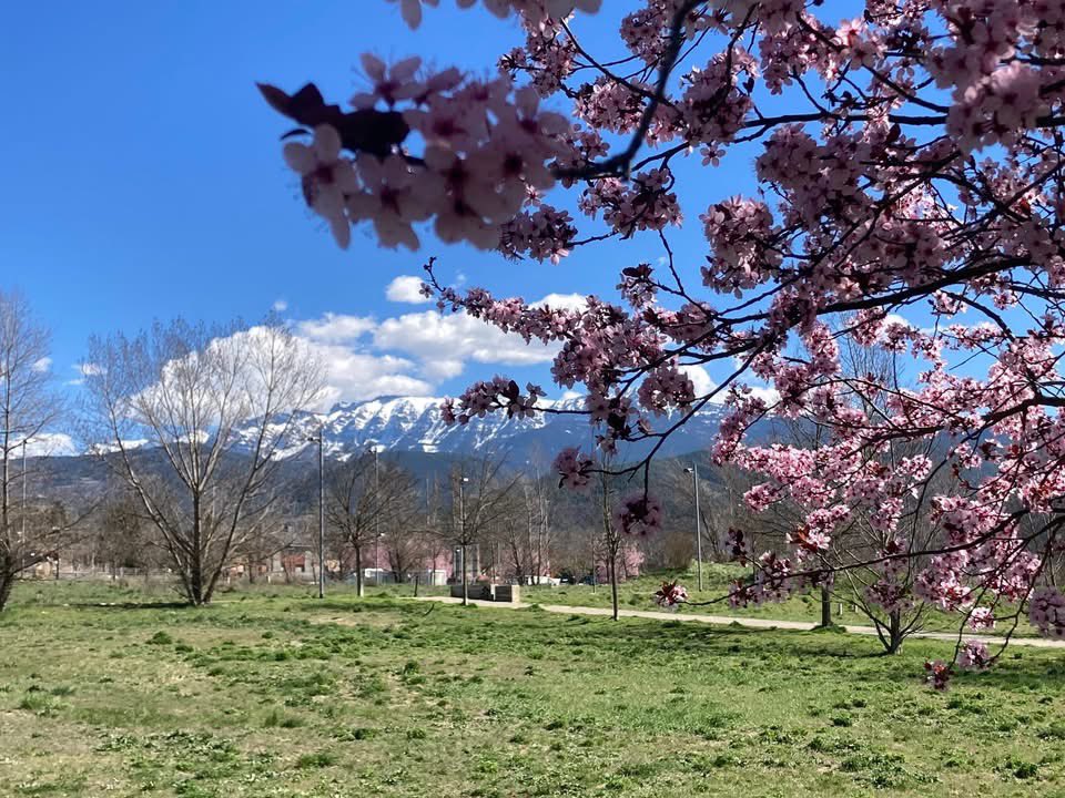 RàdioSeu tweet media