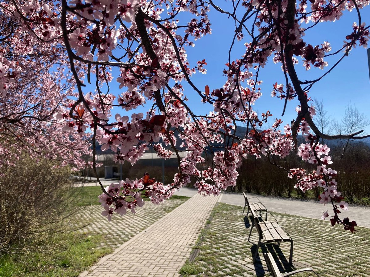 RàdioSeu tweet media