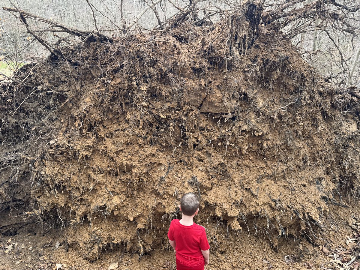 Chapter House tweet media