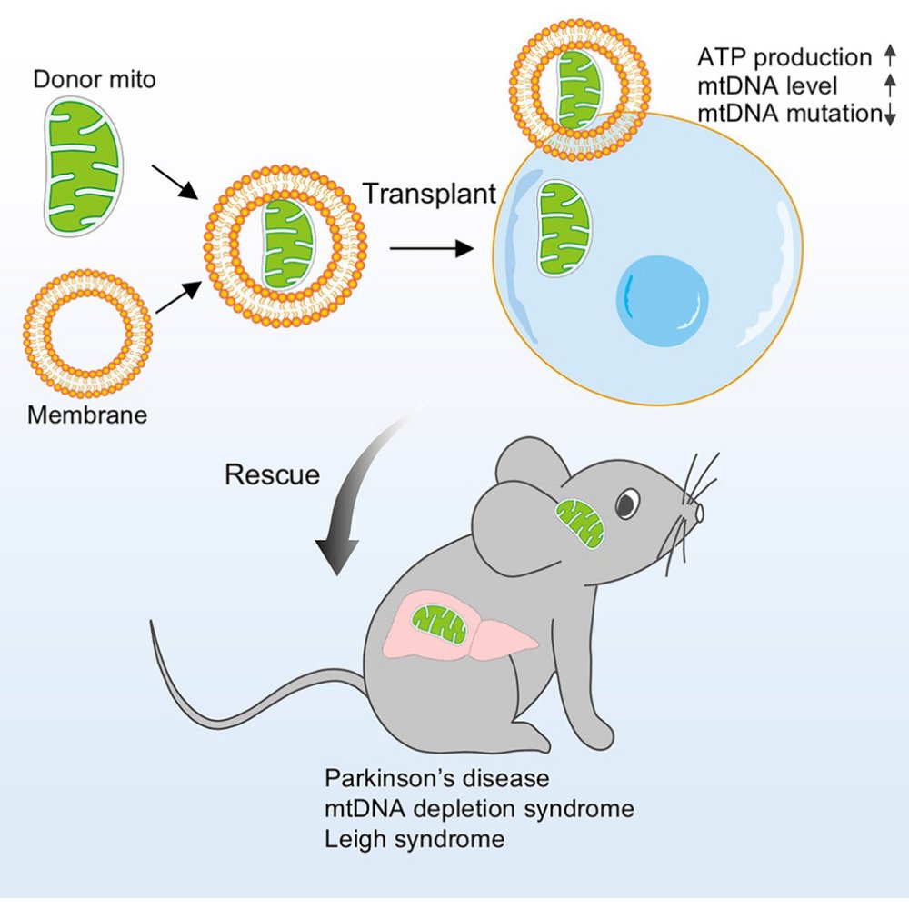 The Science of Parkinson's tweet media
