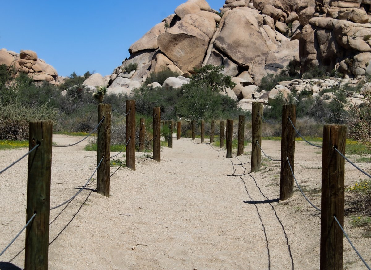 JoeZImages tweet media