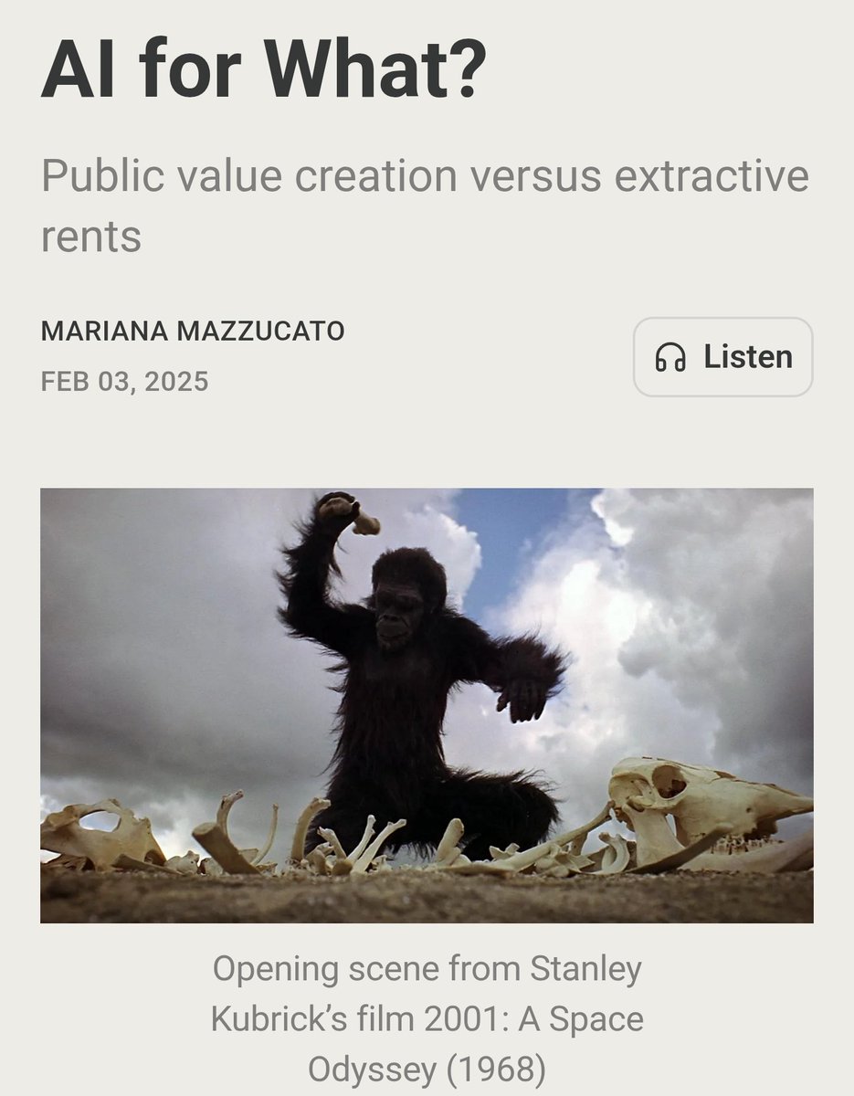 עמית בן-צור Amit Ben-Tzur tweet media