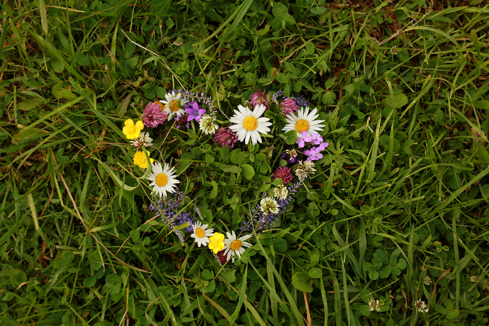 AngusFosteringandAdoption tweet media