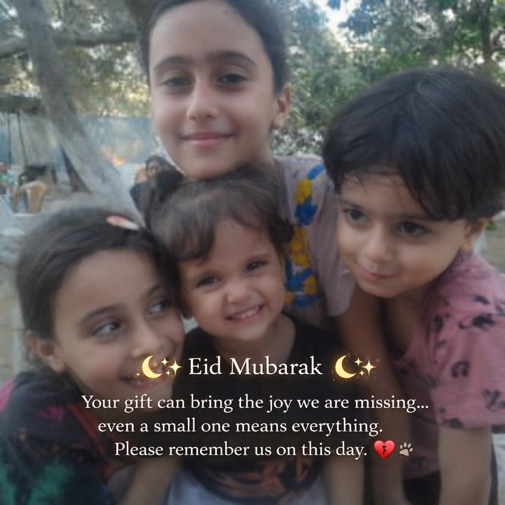 Animal Friends Shelter tweet media