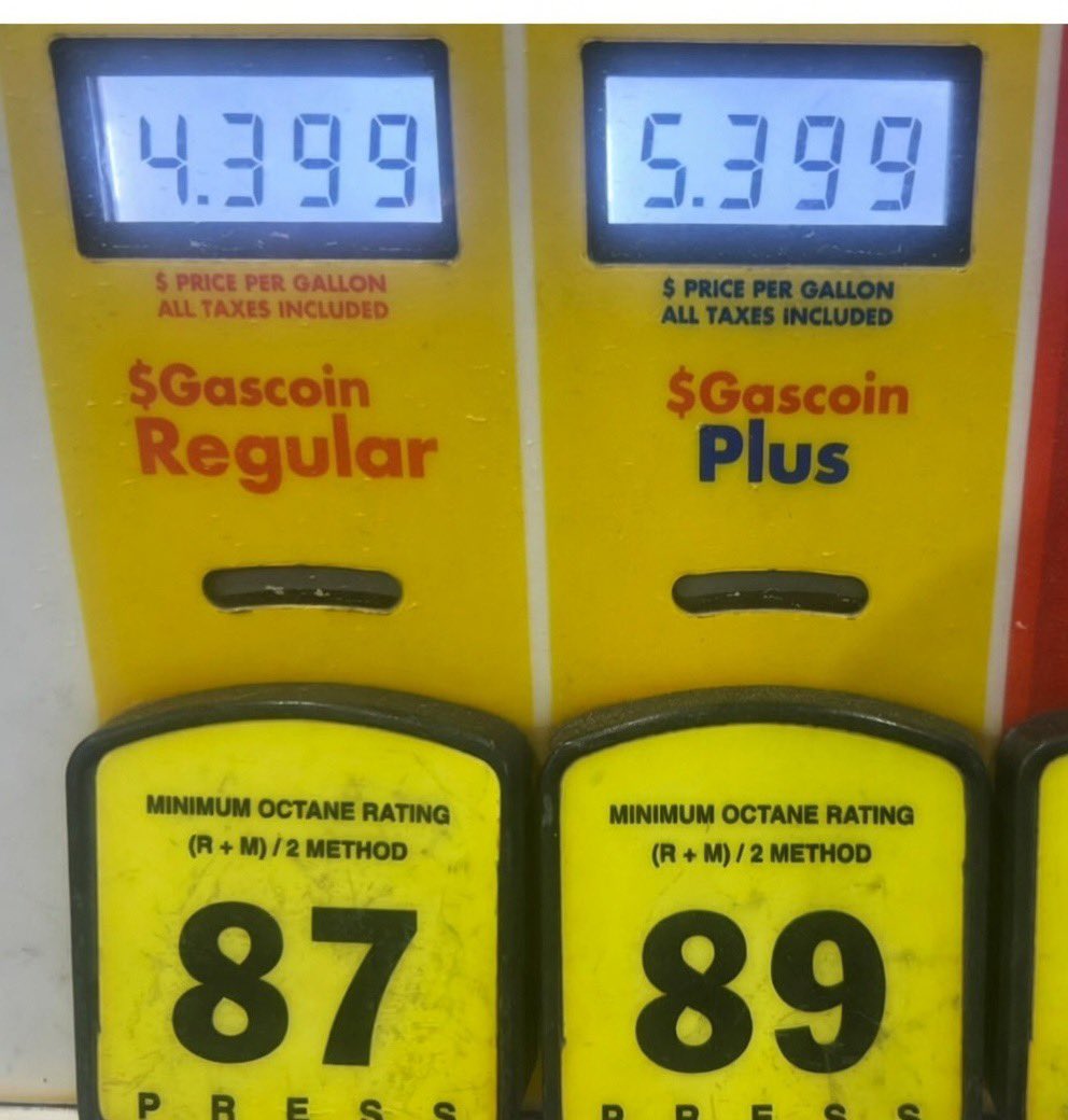 Trench Dog 1st division tweet media