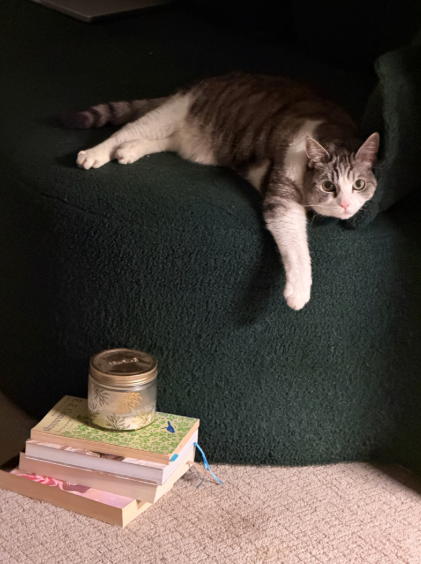 rustyshoxx🐰⸝꙳.˖ tweet media