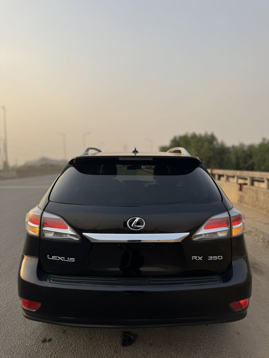 Lonapapi1 tweet media