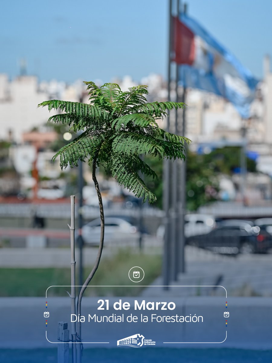 Concejo Deliberante de Córdoba tweet media