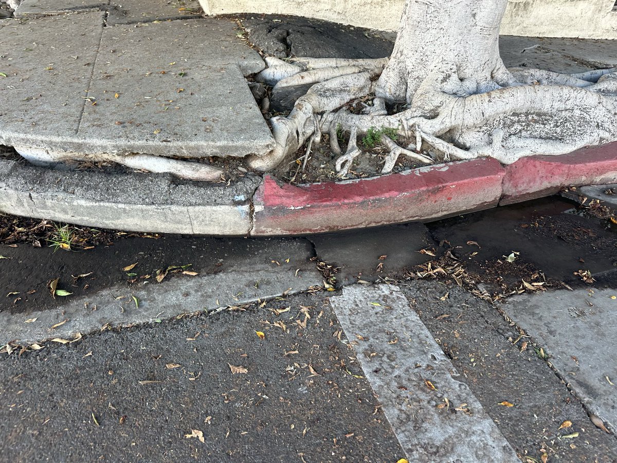 ・❥・ tweet media