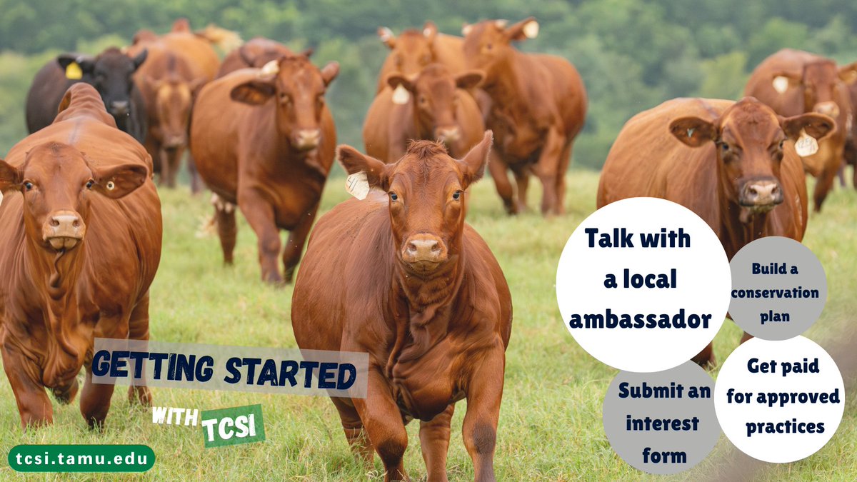 Texas Conservation and Sustainability Initiative tweet media