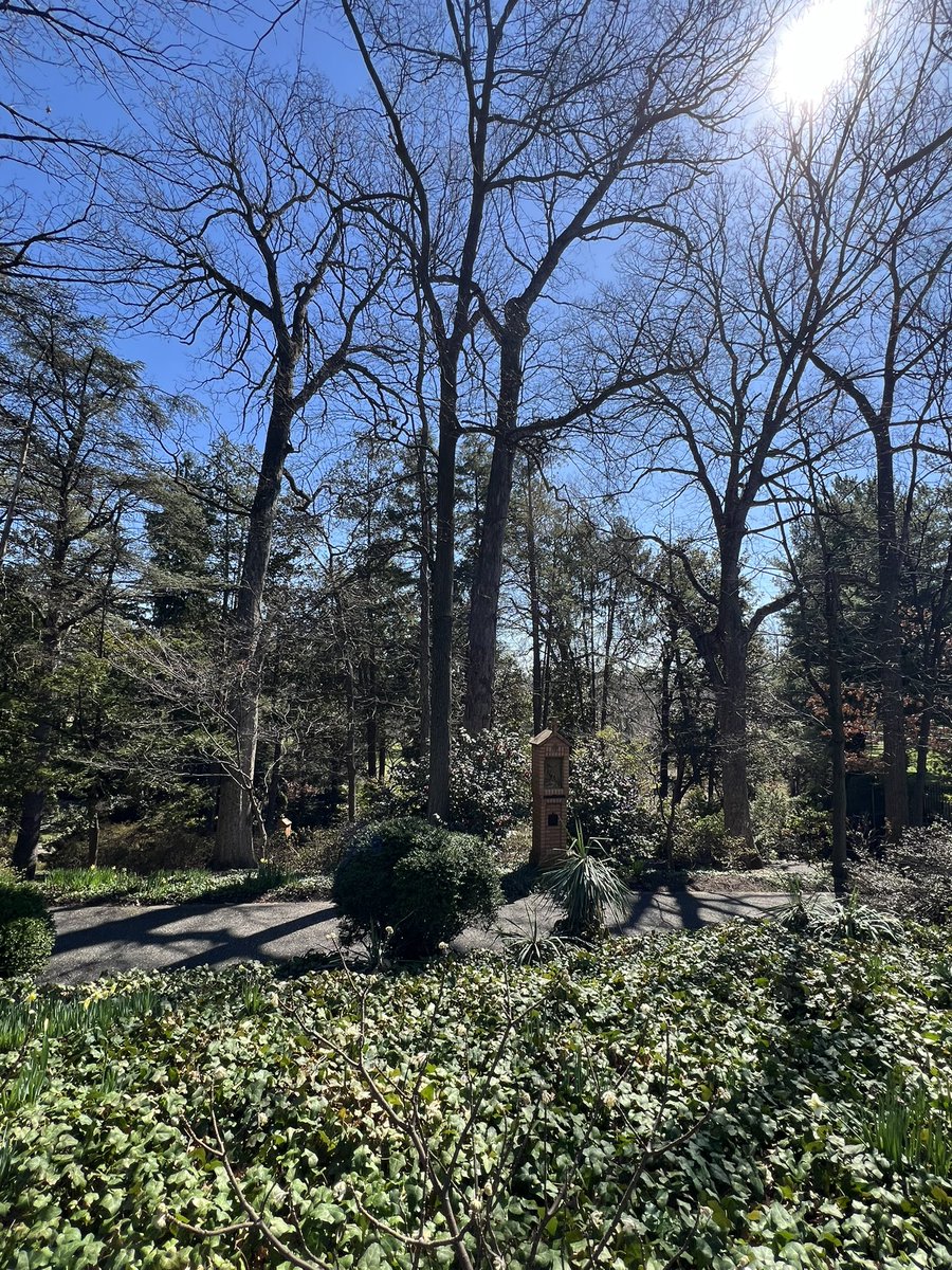 Holden Cole tweet media