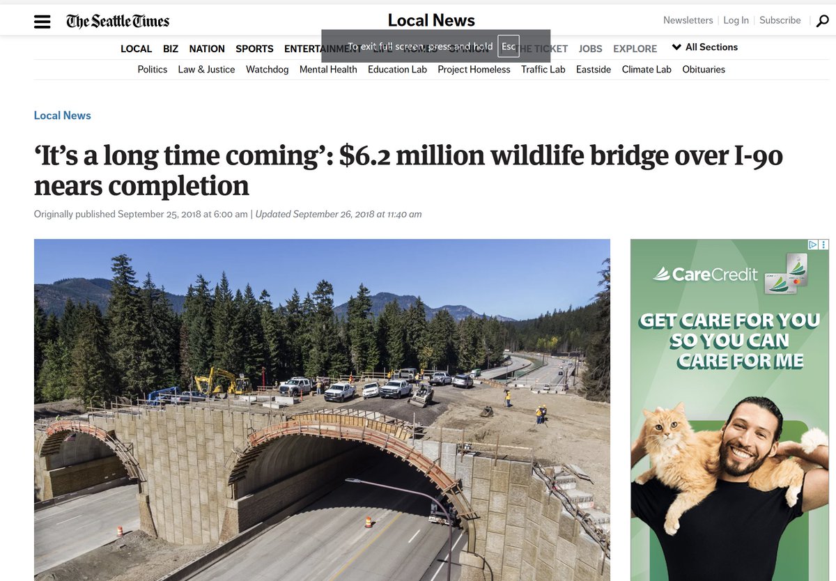 Jacob Shell tweet media