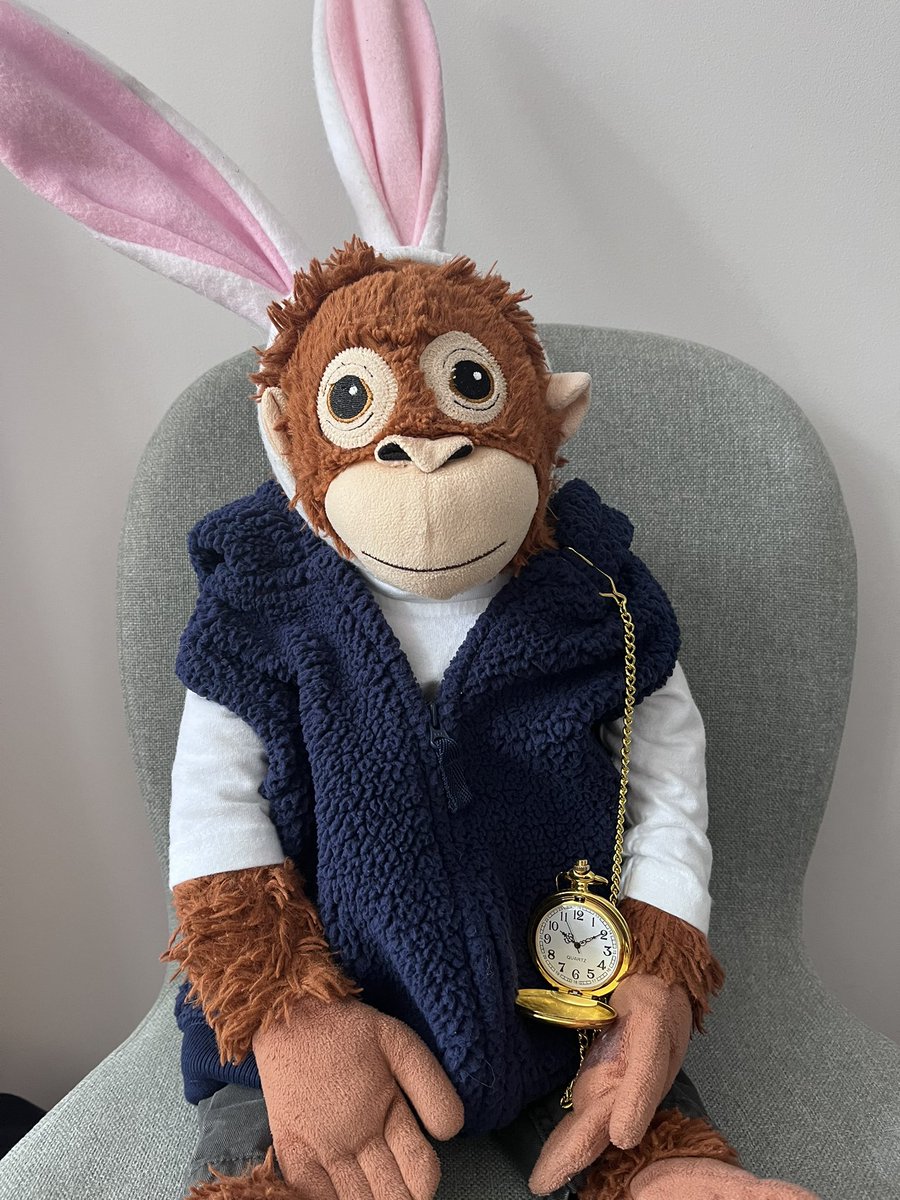 Bob is ready for Kick’s Celebration 🎉