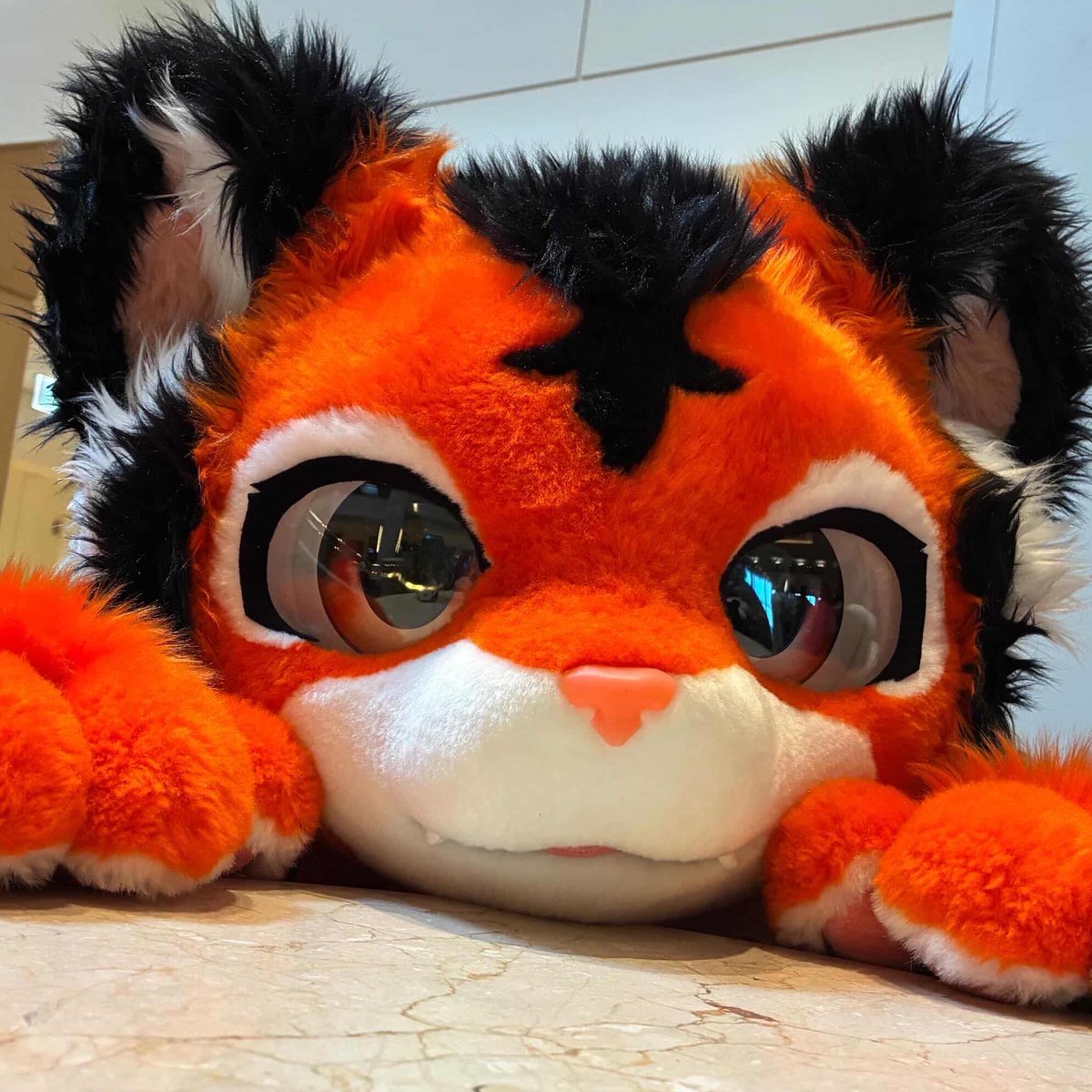 🐯Flāmie Tiger🐯/ TransformTiger tweet media