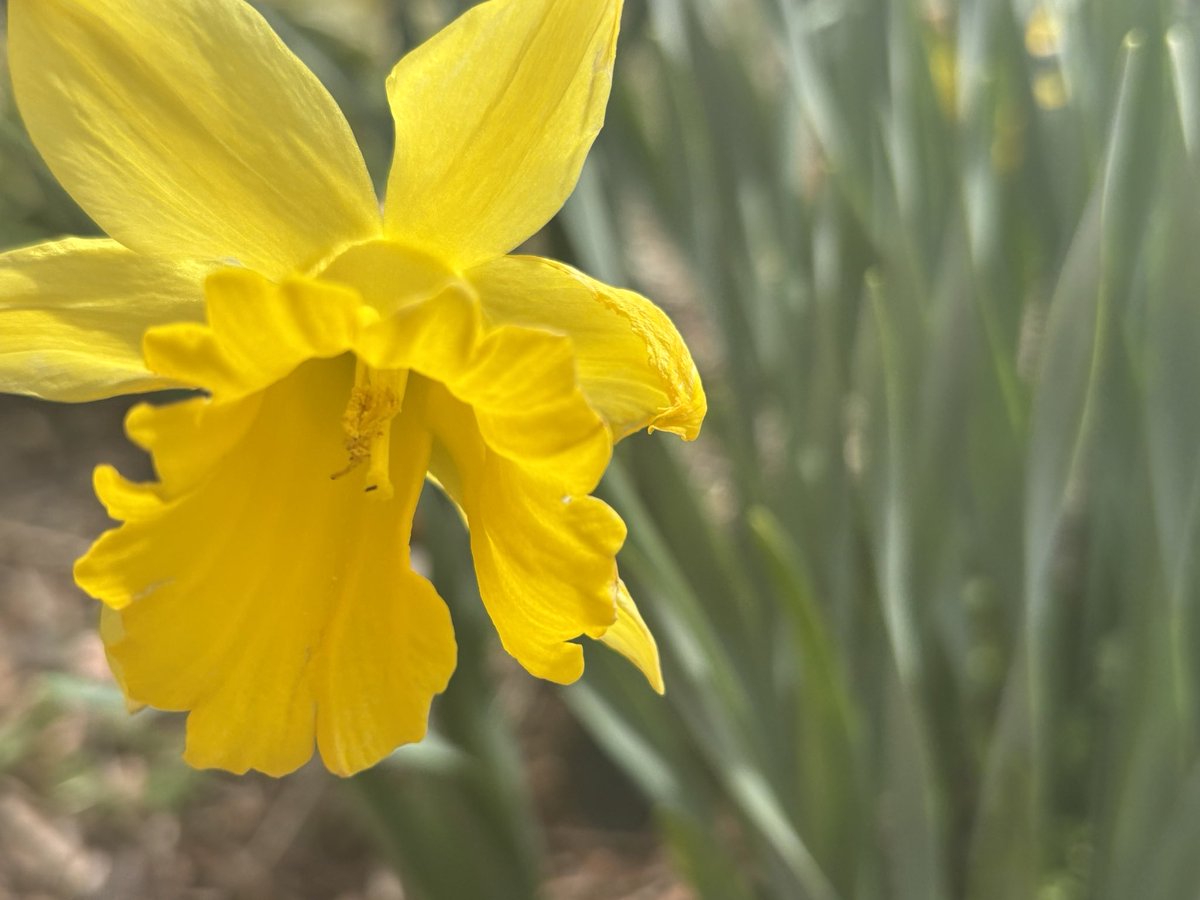 Wilson and friends tweet media